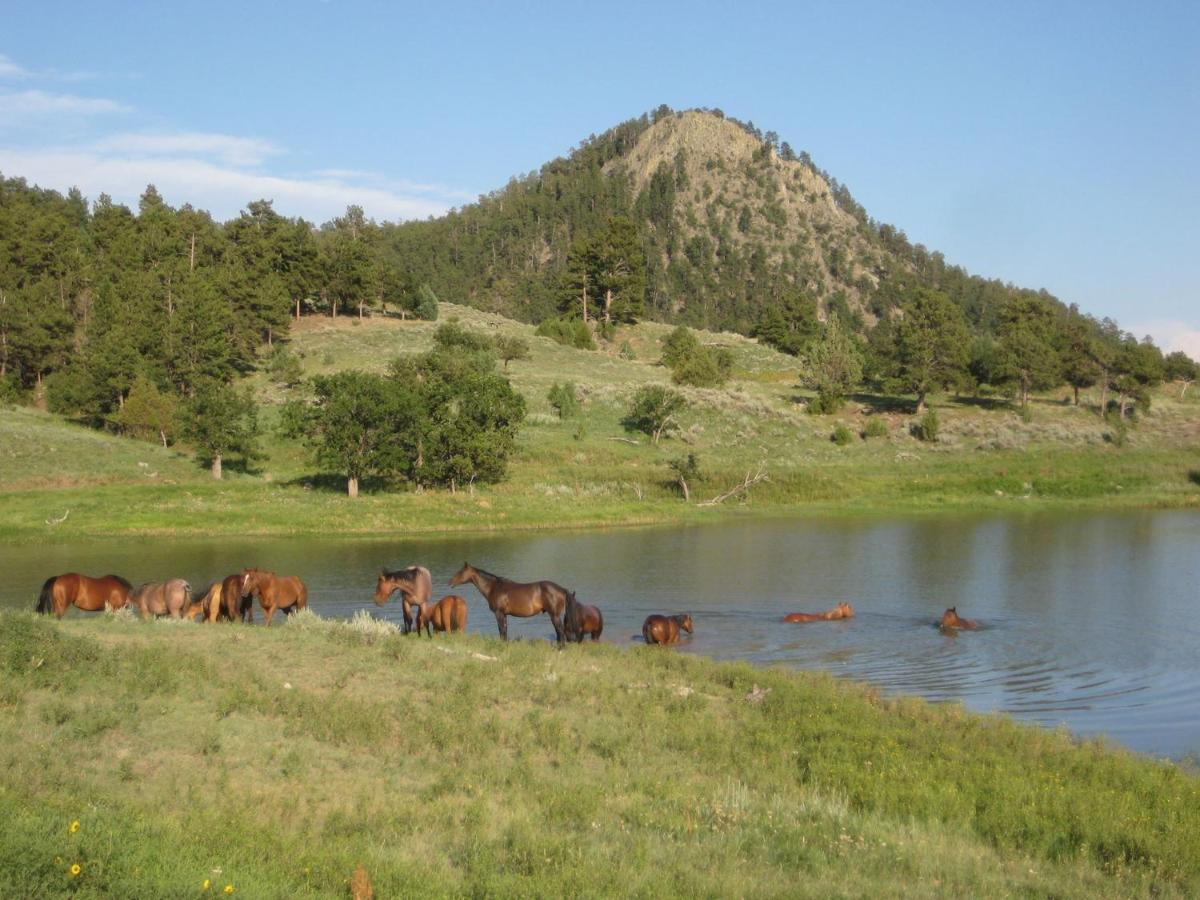 Villa lake guest ranch à Devils Tower Extérieur photo